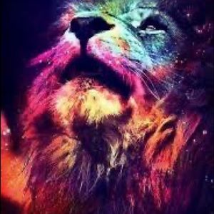 Meet your Posher, Leo